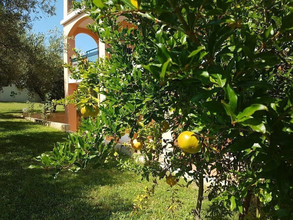 Aloni Hotel פפקוהורי מראה חיצוני תמונה